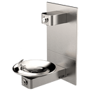 1001P | ADA Vandal-Resistant Fountain and Bottle Filler