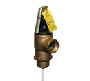 0006370021 | Temperature and Pressure Relief Valve