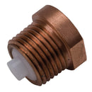 6518FRDV | Drain Valve Assembly