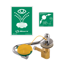 7611 | AXION® MSR Sink Mount Eye/Face Wash