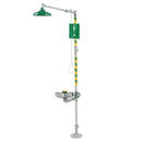 8309WC | AXION® MSR Combination Shower and Eye/Face Wash